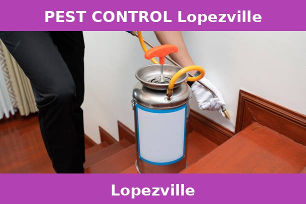 PEST CONTROL Lopezville